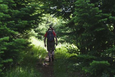 Premi per vedere l'immagine alla massima grandezza