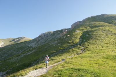 Premi per vedere l'immagine alla massima grandezza