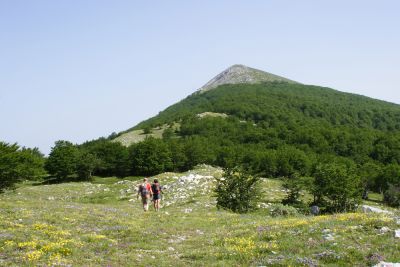 Premi per vedere l'immagine alla massima grandezza