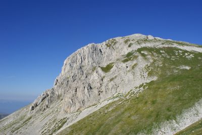 Premi per vedere l'immagine alla massima grandezza