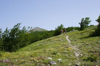 Premi per vedere l'immagine alla massima grandezza