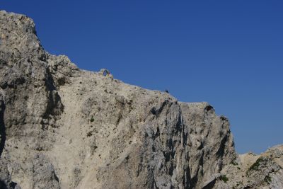 Premi per vedere l'immagine alla massima grandezza