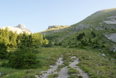 Premi per vedere l'immagine alla massima grandezza