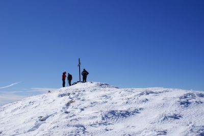 Premi per vedere l'immagine alla massima grandezza