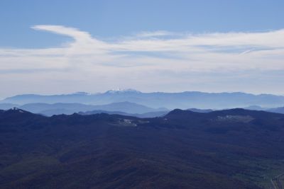 Premi per vedere l'immagine alla massima grandezza