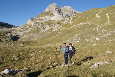 Premi per vedere l'immagine alla massima grandezza