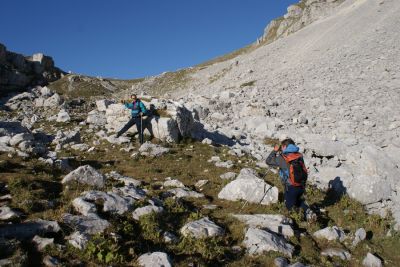 Premi per vedere l'immagine alla massima grandezza