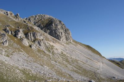 Premi per vedere l'immagine alla massima grandezza