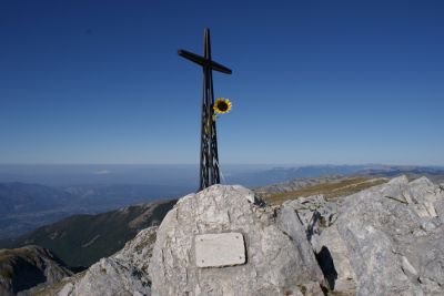 Premi per vedere l'immagine alla massima grandezza