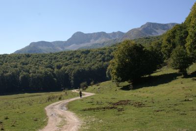 Premi per vedere l'immagine alla massima grandezza