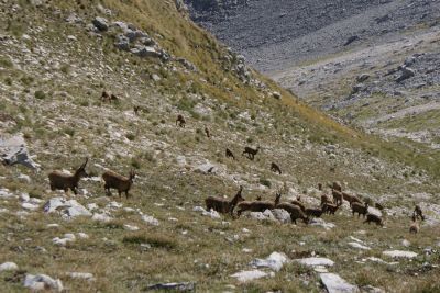 Premi per vedere l'immagine alla massima grandezza