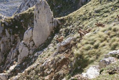 Premi per vedere l'immagine alla massima grandezza