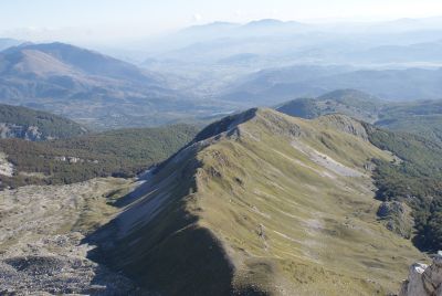 Premi per vedere l'immagine alla massima grandezza