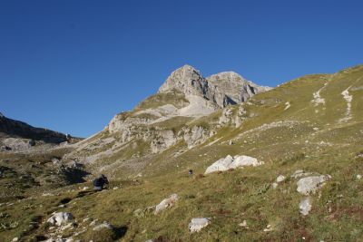 Premi per vedere l'immagine alla massima grandezza